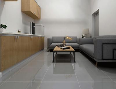 China 60x60cm 29kg Porcelanato Floor Tile , 9.5mm Porcelain Polished Tiles Light Grey for sale