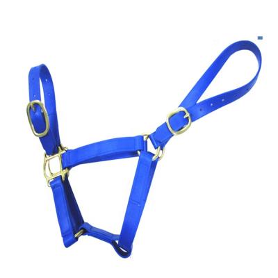 China PVC Design Your Own Equipment Head Collar Equestrian Halter Padded Color Horse Race Horse Nylon Leather Halter HR-RA-006 4 Season for sale