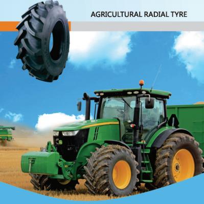 China Agricultural Tire 18.4-38 With R-1 Super Tractor And Harvester Model LS-1 Tire 15 for sale