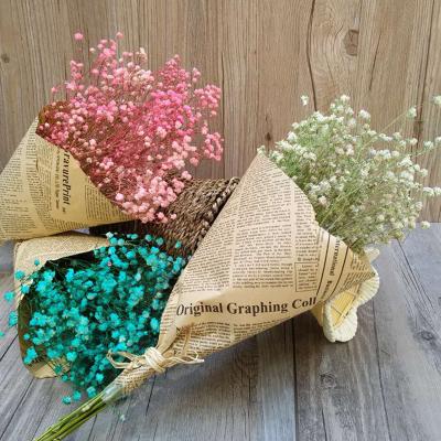 China Millet flowers wholesale home dry star decoration flower dry flower for sale