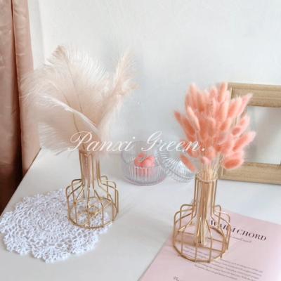 China Decorate Weddings And Homes Dried Flower Bouquet Foxtail Fresh Natural Dried Flowers Decorate Wedding Props for sale