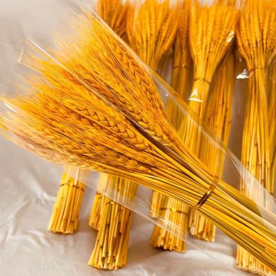 China Flower factory direct sale high quality natural air dry wheat decoration for birthday wedding flower arrangement for sale