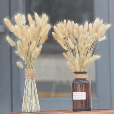 China Home Furnishings Decoration Manufacturer Direct Selling High Quality Natural Air Drying Decoration Wedding Foxtail Bouquet for sale