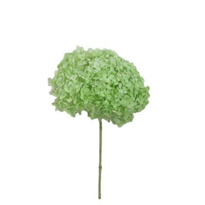 China Wedding party store decoration flower materials home wholesale best-selling dry bouquet hydrangea is largely used for wedding scene layout shooting for sale