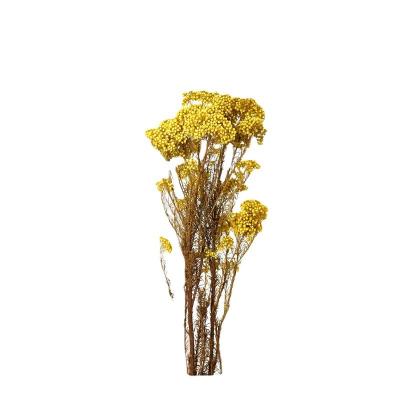 China Millet flowers natural dry millet flower hot selling bouquet wholesale high quality suitable for modern home decoration bouquet for sale