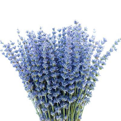 China Green environmental protection manufacturer directly sells high quality natural air dried lavender bouquets for wedding decoration for sale