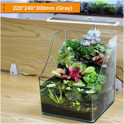 China ASAV- Viable AS Water Plant Glass Table LED Aqua Vivarium All In One Decorative Aquarium Fish Bowl for sale