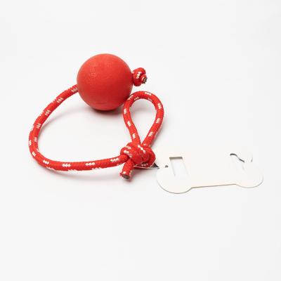 China Outdoor Sustainable Cat Dog Toys Pets Circular Bungee Ball For Interactive Training for sale