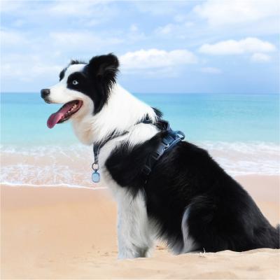 China Breathable Yet Comfortable Dog Harnesses Reflective Custom Harnesses For Large Dogs Dog Harness for sale