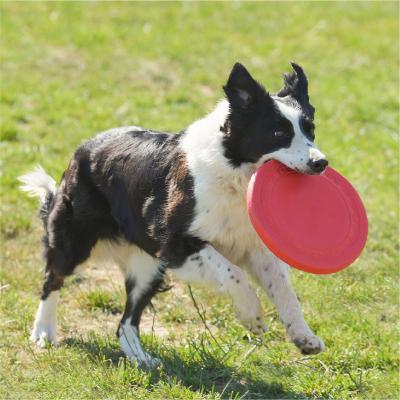 China Customized Durable Frisbeed Interactive Pet Dog Flying Disc Training Toys TPR Round Bite Round Disc Bite Frisbeed Interactive Flying Disc for Exercising Dogs for sale