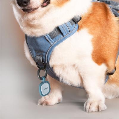 China Custom Double Sided Air Tag Pet Collars Qr Code Pet Tags Engraved Tagged Dog for sale