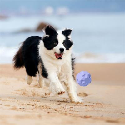 China Sustainable Eco-Friendly Training Ball Dog Toy Ball Brinquedo Pet for sale