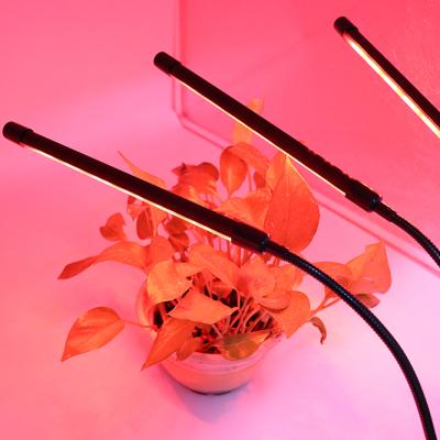 China Seed Starting Grow Light Red Blue Plant Growing Lamps Led Grow Light 30w Spectrum UV Led Grow Light for sale