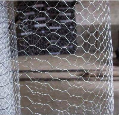 China Protective Hexagonal Mesh Stainless Steel Wire Netting Chicken Wire Mesh for sale