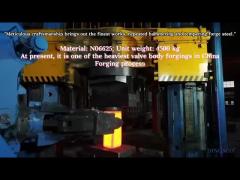 Inconel 625 Forging N06625 Nickel Alloy Forged Discs Chemical Processing Reactors Parts