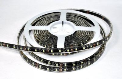 China El alto lumen IP65 al aire libre IP67 IP68 SMD3528 llevó luces de tira en blanco blanco/fresco caliente en venta