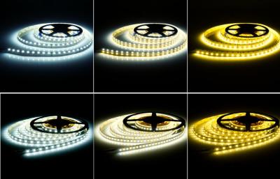 China Indoor Low Voltage 3528 IP20 Led Flex Strip Lights 240leds CCT Adjustable for sale