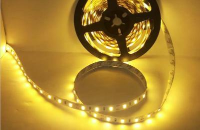 China Multi Color 350 leds SMD 5630 Flexible RGB Led Strip in Warm Whit Cool White for sale