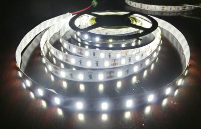 China White Waterproof SMD 5630 led Strip for sale