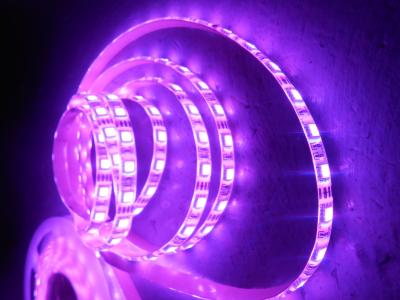 China Commercial IP65 waterproof Purple Flexible RGB Led Strip Tape 60leds per meter for sale