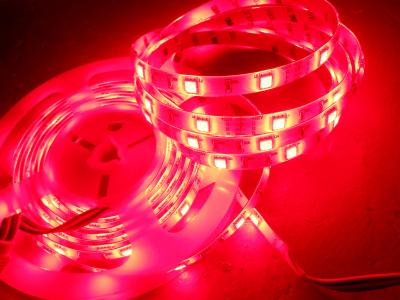 China Super heller IP65 roter Rollen-SMD 5050 LED Streifen zu verkaufen