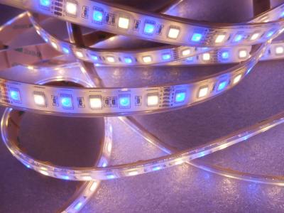 China High Lumen RGBW Low Voltage LED Strip for sale