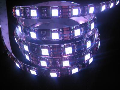 China 4800LM DC12V SMD5050 Flexible RGB Led Strip for sale