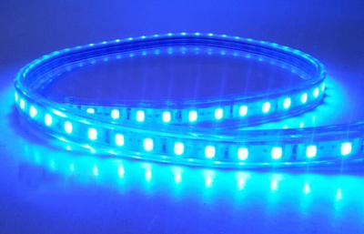 中国 党のための屋外 72W Epistar SMD 5050 の IP68 によって導かれるストリップ防水適用範囲が広い LED のストリップ 販売のため