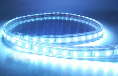 Китай Водоустойчивая 5050SMD гибкая светлая прокладка водить 60leds/M для рождественской елки, утверждения CE ROHS продается