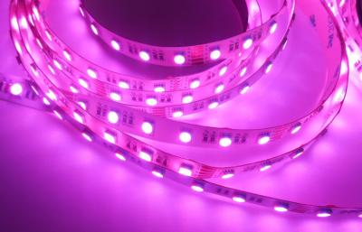 中国 屋内のための屈曲 LED のストリップのタイプ SMD5050 RGBW LED のストリップ 3M テープ 販売のため