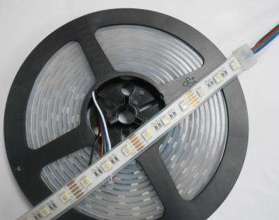 China IP67 SMD5050 RGBW Led Strips With Four Chips In One SMD LED Via CE ROHS for sale