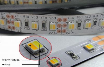 Cina Rame/striscia bianco bianco/caldo di IP20 nero/bianca SMD3027 SMD 3528 LED in vendita