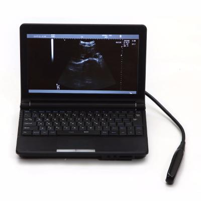 China CE ISO Good Quality LCD Laptop Equine Ultrasound Machine/Cow Horse Ultrasound Scanner Animal/Veterinary Ultrasound Price for sale