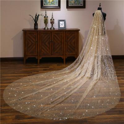 China Hot Selling Champagne Romantic Elegant Long Wedding Veils Lace Edge Long Bridal Veils Wedding Accessories for sale