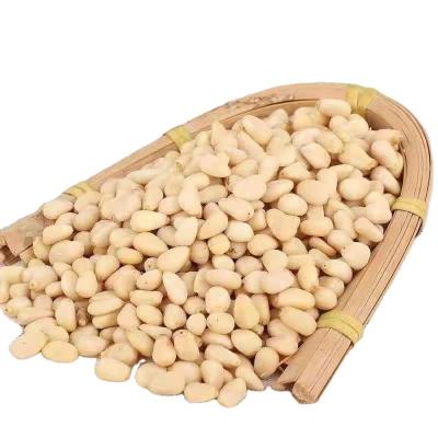 China 100% Organic Human Food Use Consumption Ruissa Pine Nuts For Sale for sale