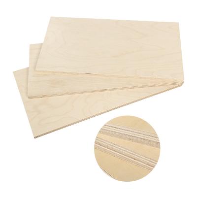 China Modern Top Quality UV Coated Russian Baltic Birch Plywood 1220*2440Mm for sale