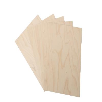 China Good quality modern hot sales birch plywood modern commercial plywood 5MM 12MM 15MM 18MM for sale