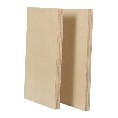 China Modern High Quality Commercial Full Okoume Birch Pine Faced Plywood for sale