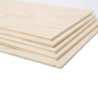 China Wholesale 1220*2440mm 12mm 13mm 15mm Modern Baltic Birch Plywood 18mm for sale