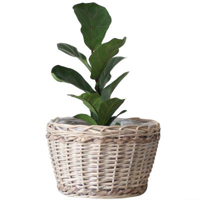 China Eco-friendly custom natural wicker hand - woven flower pot with liner for sale