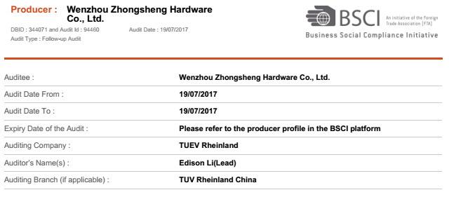 BSCI - Wenzhou Zhongsheng Hardware Co., Ltd.