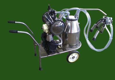 China XD32WY-1 single bucket and oilless Vacuum pump Electric motor mobile milking machine for sale