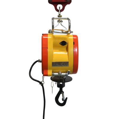 China Easy Mining Crane Carry Mini Motor Power Pendent Stationary Protection For 180kg Small Electric Crane for sale