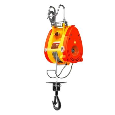 China Crane Mining Quick Move Easy Carry Light Engine Power Pendent Stationary Protection For 230kg Small Electric Crane With Remote for sale