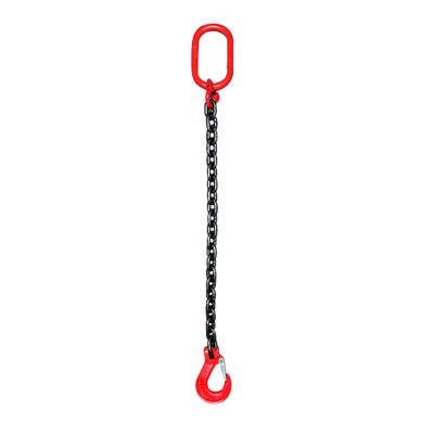 China Wire Rope Lifting Sling Hardware Rigging Two Legs Alloy Steel Chain Sling For Lifting 4ton 8ton 22ton for sale