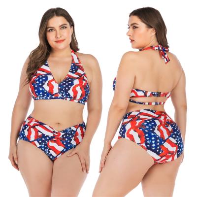 China Breathable woman swimming bikini plus size bikini swimwear plus size swimwear bikini for fat women 6663 for sale