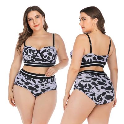 China Breathable bikini top plus size swimwear for women plus size swimwear bikini for fat women 6648 for sale