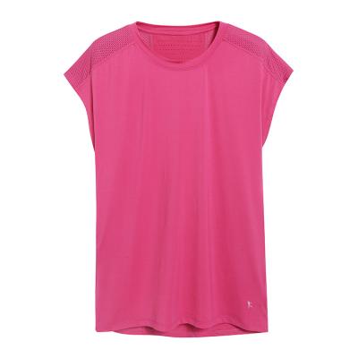 China QUICK DRY SANQIANG wash not easy to deform casual and supple and fit your body ladies knitted tops for sale