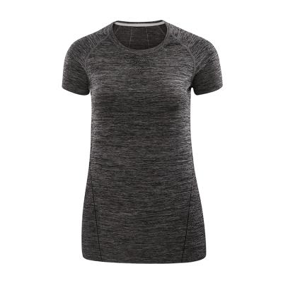 China High Quality Fitness Tops Yoga Summer Nylon Women's Breathable Sports T-Shirt for sale