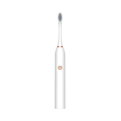 China Battery Operated Hot Selling High Quality Teeth Cleaning Rechargeable Electric Toothbrush Custom for sale